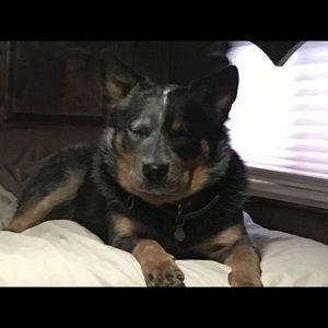 Meet your Posher, Kelly